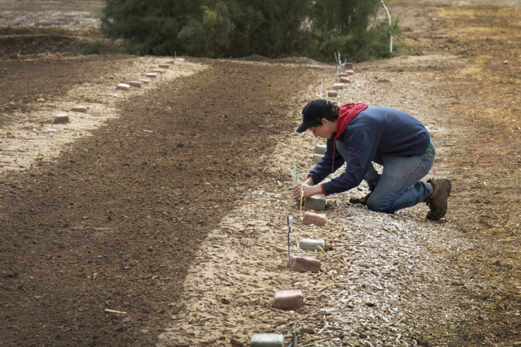 HOLTVILLE, CA 03/10/2019:  Wes Markusfeld plants a wooden cross next to an unmarked grave at the “Cemetery of the Forgotten,” where the remains of hundreds of unidentified immigrants are buried in a dirt lot behind the Terrace Park Cemetery in Holtville, CA.