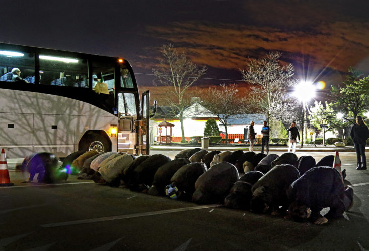 PATERSON, NJ   03/20/2016:  A group of about 60 Muslims stop for morning prayers at a rest stop on the Garden State Parkway just before sunrise. The group was on the way to the “March for Syrian Freedom” down in Washington DC early this morning. The bus left the Omar Mosque in Paterson at 530a.m., and was one of two buses leaving Paterson this morning. The rally, which commemorates the 5th anniversary of when the conflict began as an anti-government uprising with protesters taking to the streets on March 15, 2011, was designed to bring attention to the global humanitarian crisis and raise money to aid Syrian refugees worldwide. The program will include an interfaith conference at the Lincoln memorial, to be followed by a march to the White House.

Five years after it began, Syria’s civil war is among the worst humanitarian crisis of our time. The civil unrest has killed more than 220,000 of its citizens, and it has been estimated that over 11 million people have been forced to leave their homes. Bombings have destroyed cities, human rights violations are widespread, and basic human necessities like food, housing, and medical care are sparse. Roughly half of Syria’s population has fled to either neighboring countries or to Europe, many risking their lives in hopes of finding acceptance and opportunity abroad, while hundreds of thousands remain stranded in refugee camps across the Middle East, Europe, and the Mediterranean region prompting rights groups to accuse the international community of failing Syria.